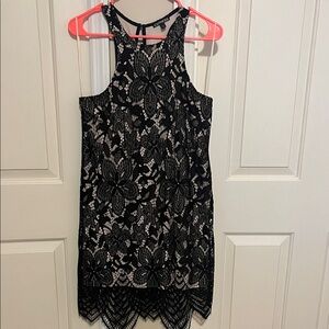 Express Black and Cream Lace Dress